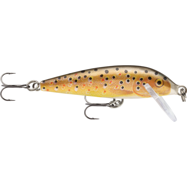 TR - BROWN TROUT