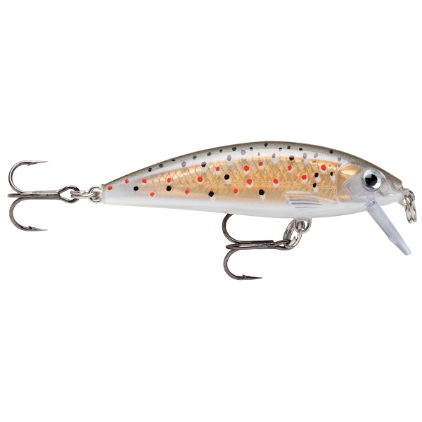 TR - Brown Trout