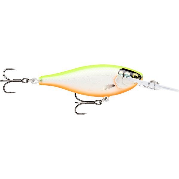 GDCO - Gilded Chartreuse Orange Belly